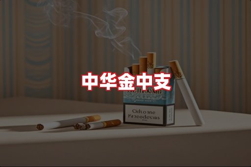 中华金中支